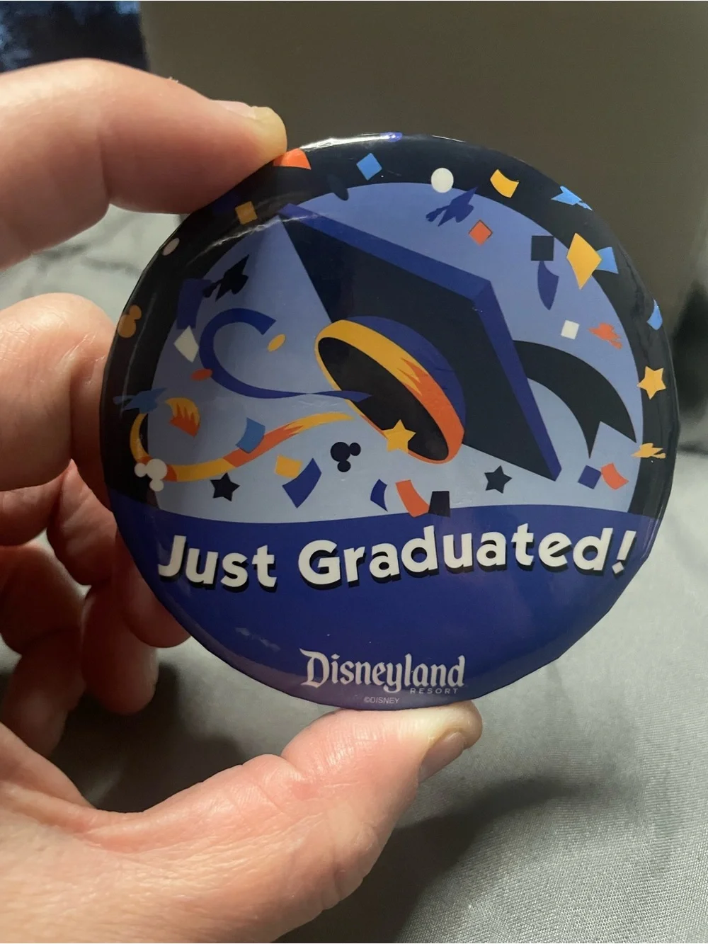 Disney disneyland visitors